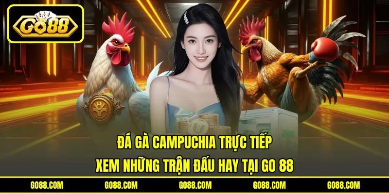 Đá Gà Campuchia Trực Tiếp | Xem Những Trận Đấu Hay Tại GO 88