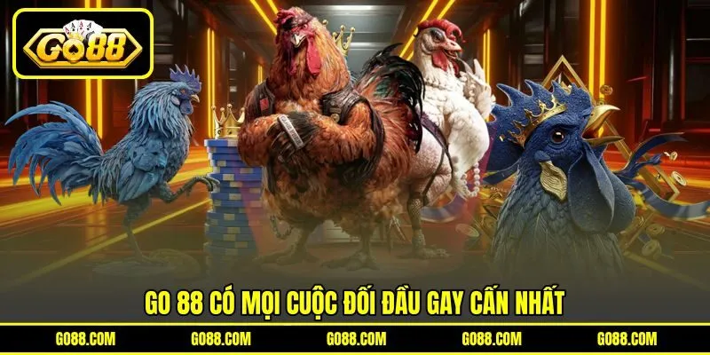 GO 88 có mọi cuộc đối đầu gay cấn nhất GO 88 có mọi cuộc đối đầu gay cấn nhất