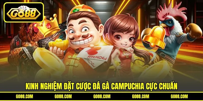 Kinh nghiệm đặt cược đá gà Campuchia cực chuẩn