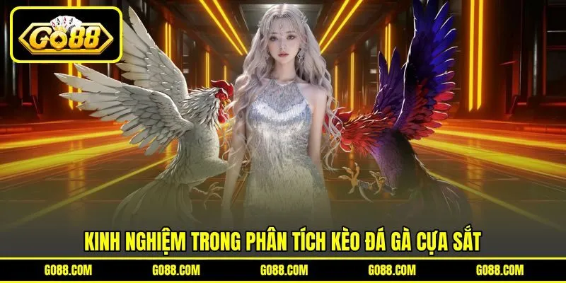 Kinh nghiệm trong phân tích kèo đá gà cựa sắt
