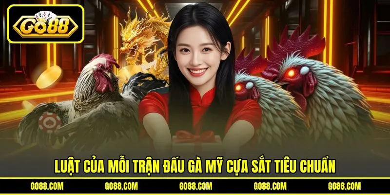 Luật của mỗi trận đấu gà Mỹ cựa sắt tiêu chuẩn