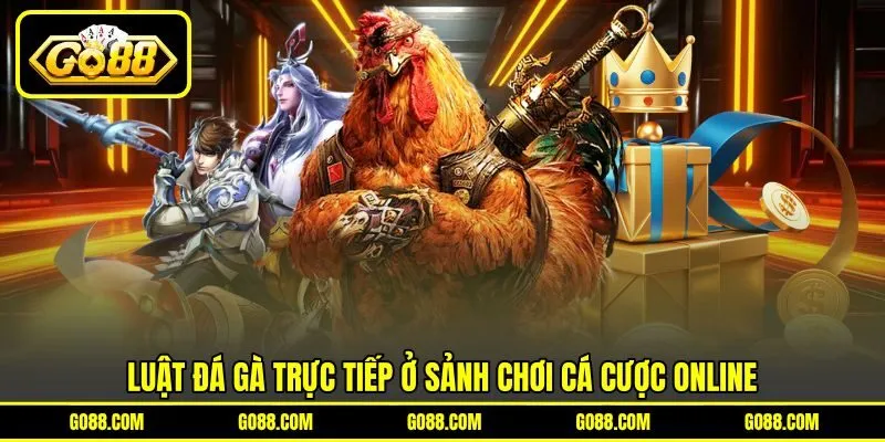 Luật đá gà trực tiếp ở sảnh chơi cá cược online