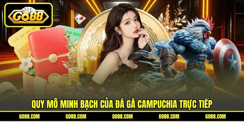 Quy mô minh bạch của đá gà Campuchia trực tiếp