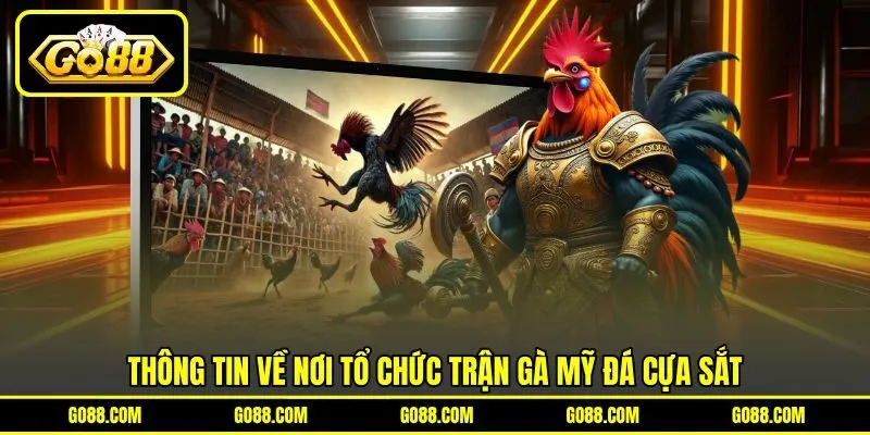 Thông tin về nơi tổ chức trận gà Mỹ đá cựa sắt
