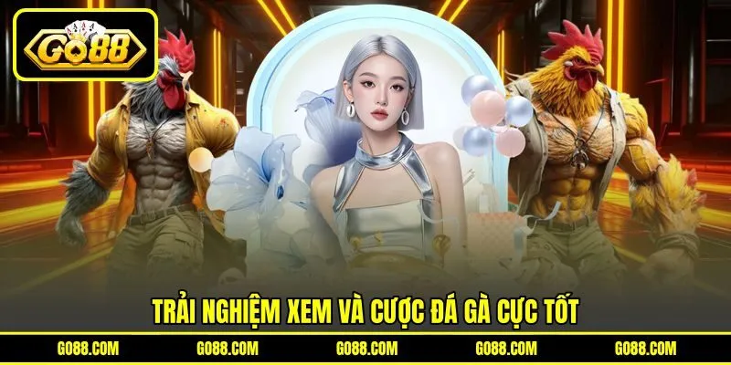 Trải nghiệm xem và cược đá gà cực tốt